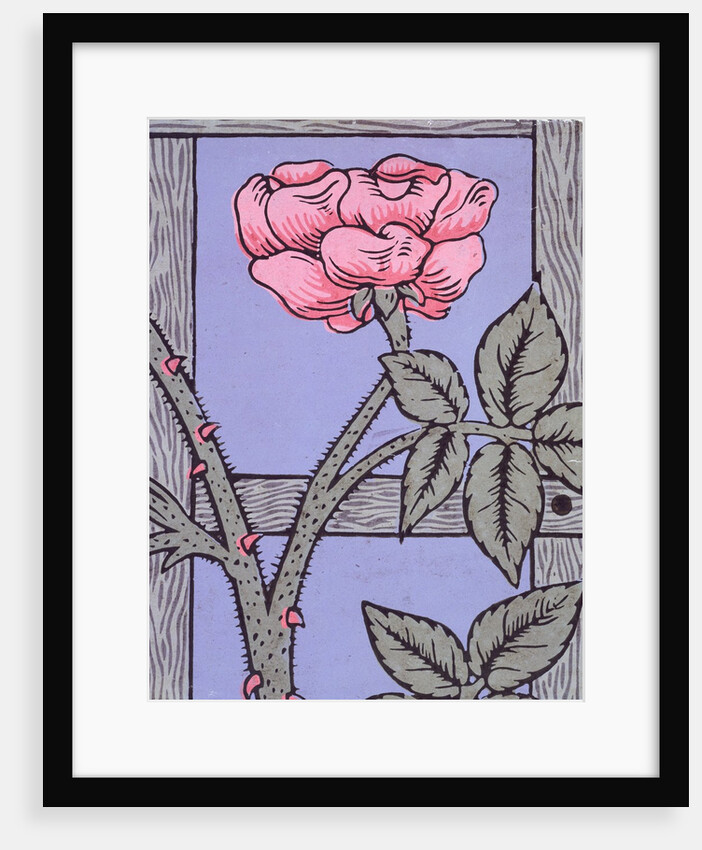 Climbing Rose wallpaper by William Morris