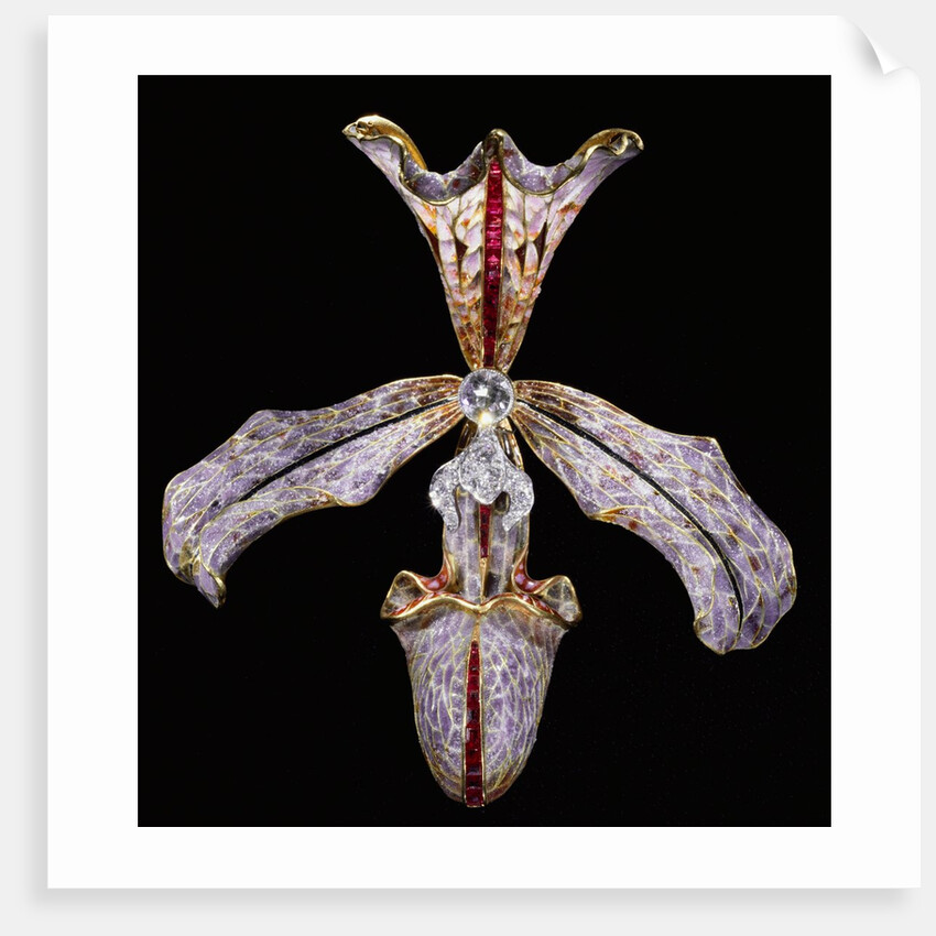 Orchid Hair Ornament by Philippe Wolfers