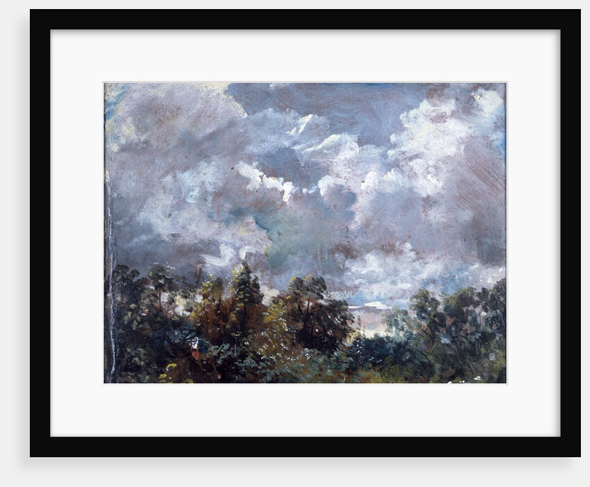Study of Sky and Trees by John Constable