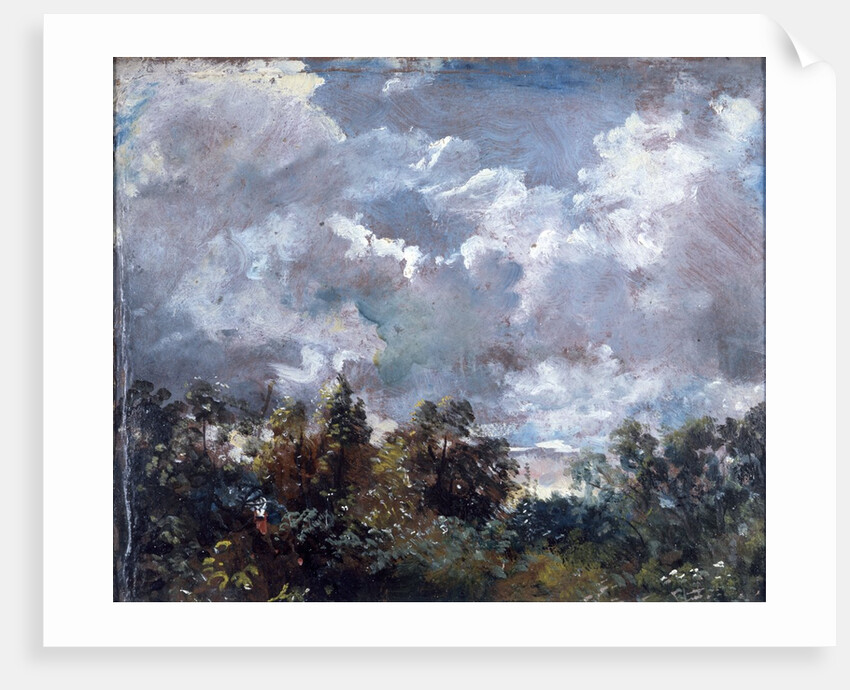 Study of Sky and Trees by John Constable