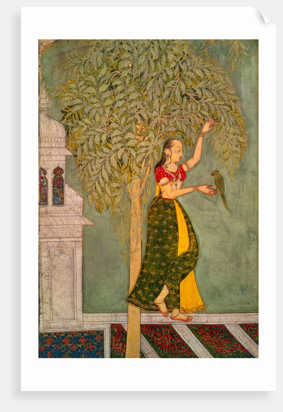 Woman with a parrot. India, 18th century by Unknown