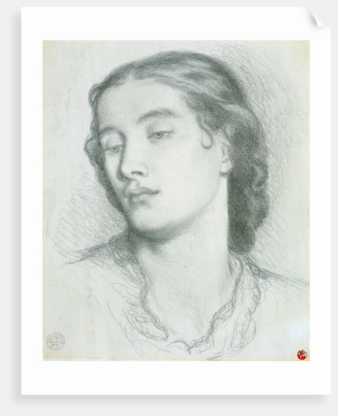 Study of a woman's head by Dante Gabriel Rossetti