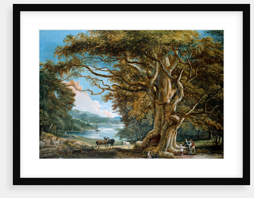 An Ancient Beech Tree by Paul Sandby