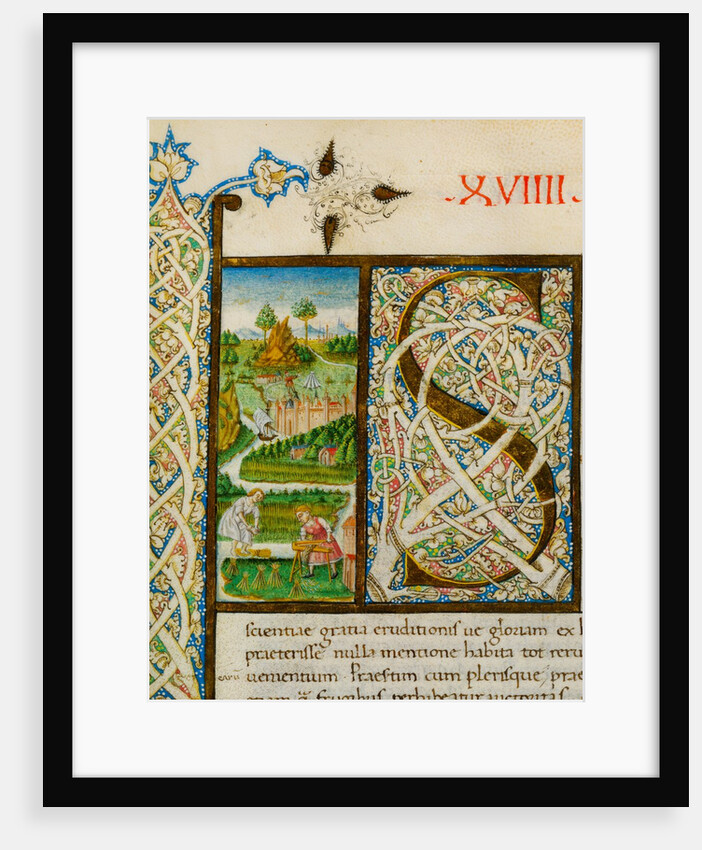 Initial S, from Pliny's Natural History. Italy, mid-15th century by Pliny the Elder