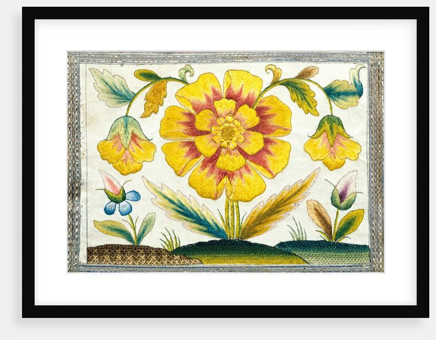 Marigold and poppy flowers. England, late 17th century by Anonymous
