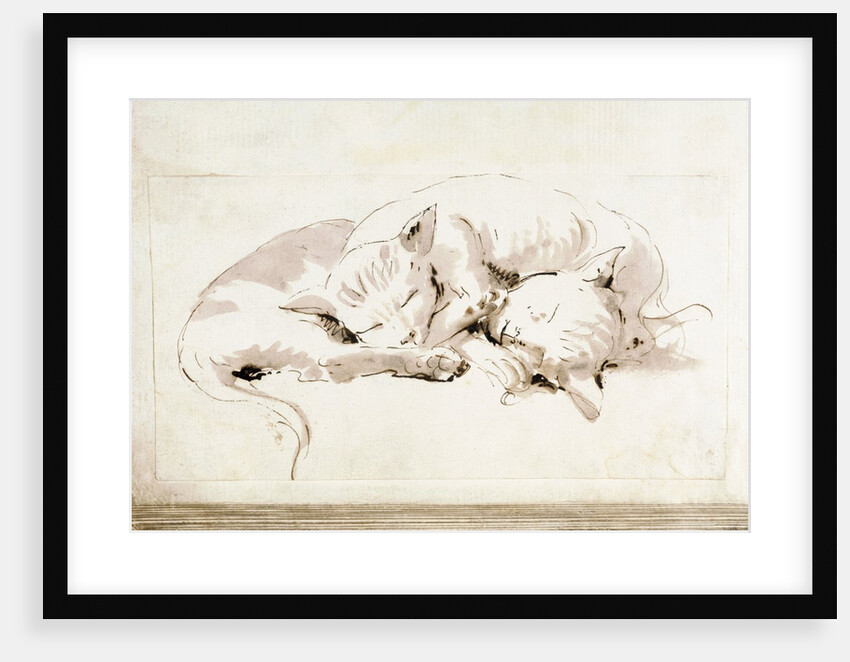 Two cats by Giovanni Battista Tiepolo