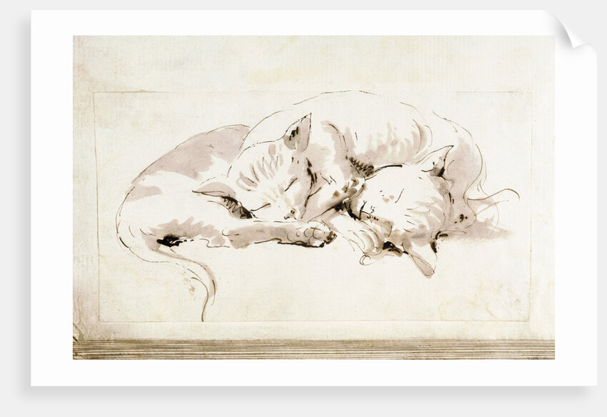 Two cats by Giovanni Battista Tiepolo