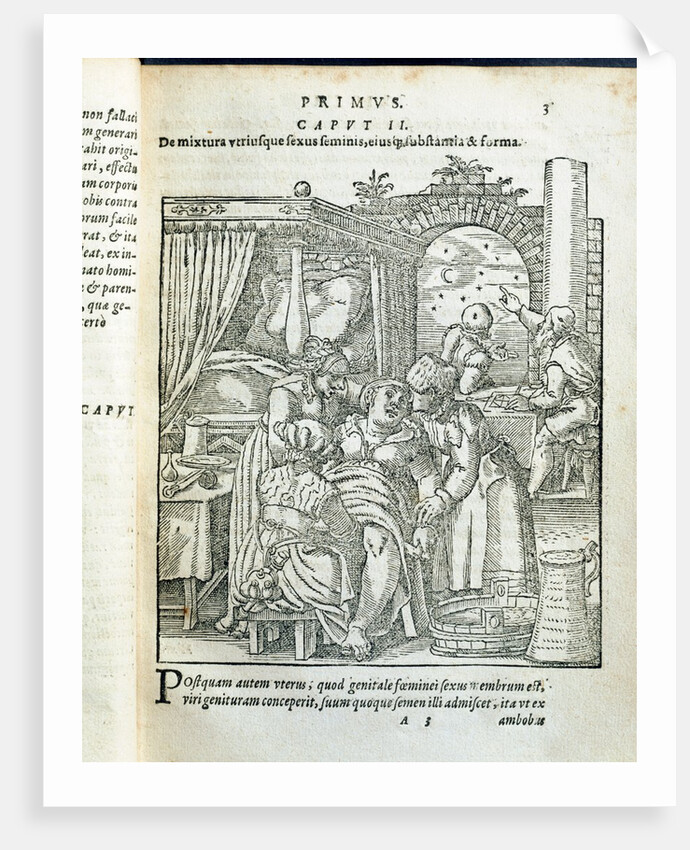 The birthing chamber by Jacobus Rueff