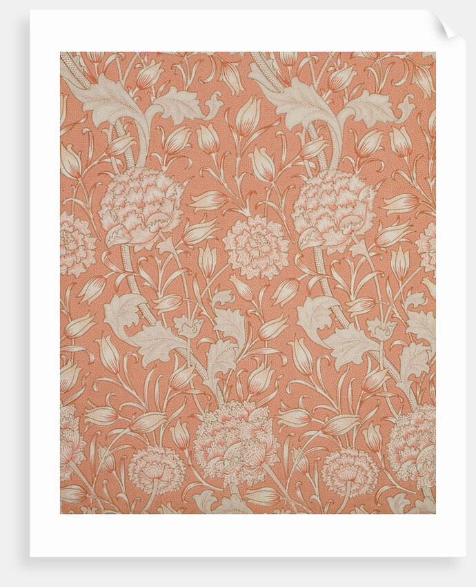 Wild Tulip wallpaper by William Morris