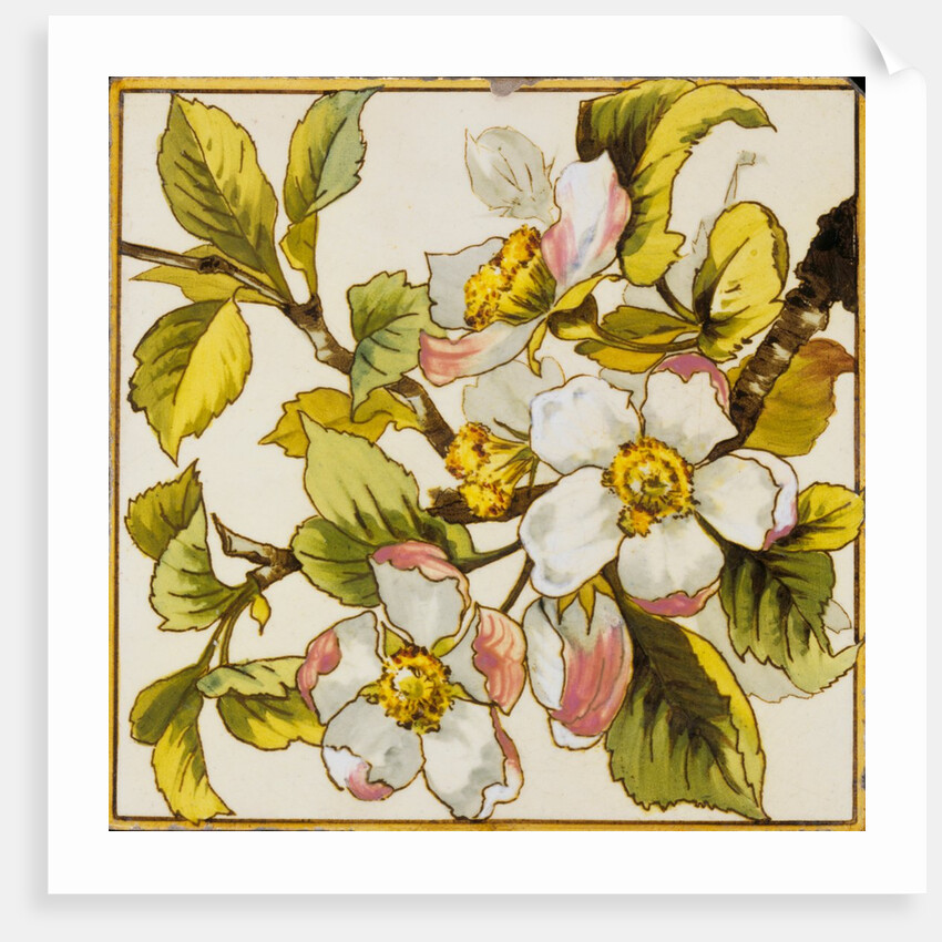 Wild Dog-Roses Tile by Doulton & Co.