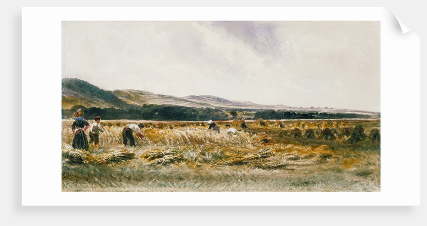 Harvest Field by Peter De Wint