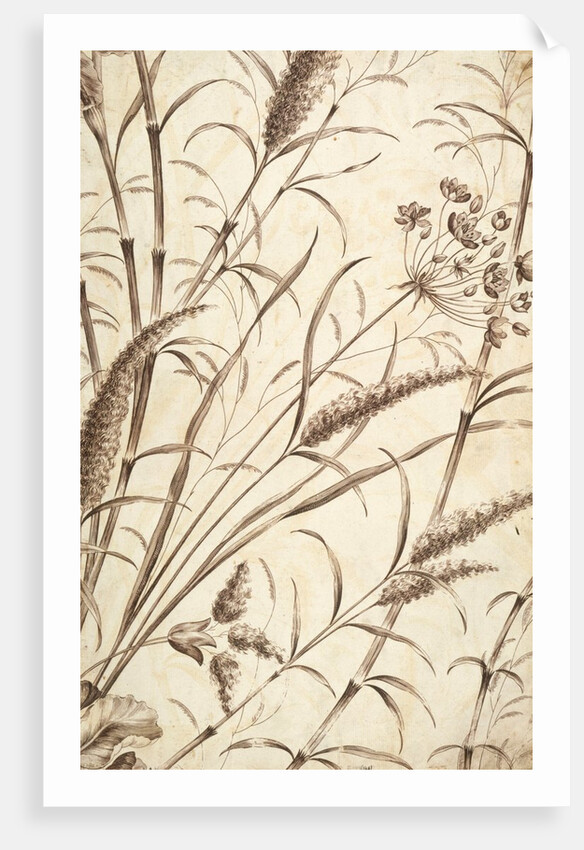 Printed textile. England, 18th-19th century by Unknown
