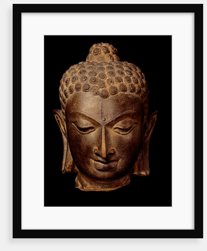 Head of Buddha. India, 7th-8th century by Unknown