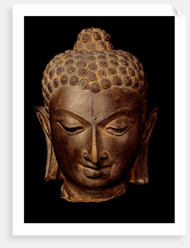 Head of Buddha. India, 7th-8th century by Unknown