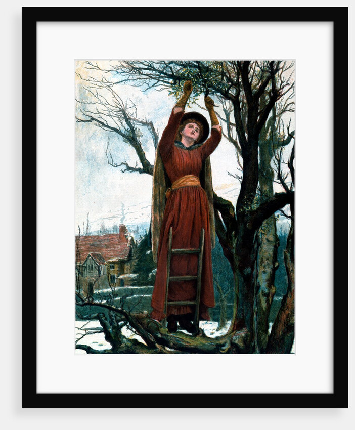 The 24th of December, Cutting the mistletoe, from The Graphic Xmas Number. England, 1886 by Anonymous