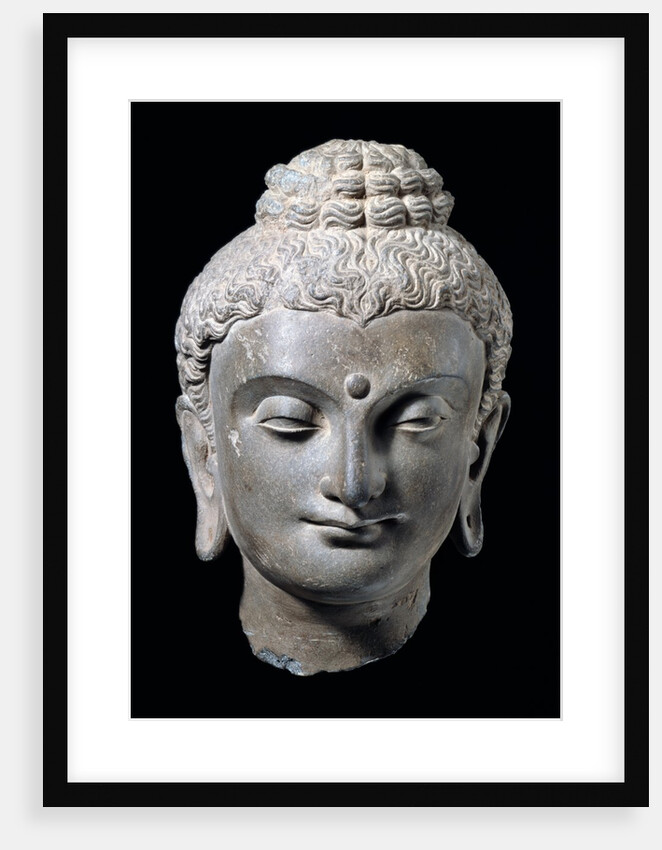 Head of Buddha. N.W. India 3rd-5th century by Unknown