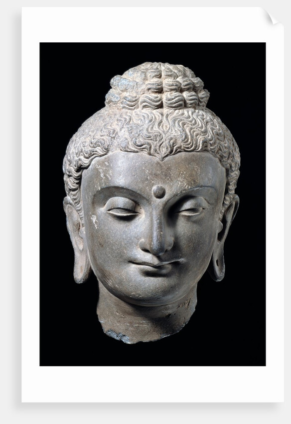Head of Buddha. N.W. India 3rd-5th century by Unknown