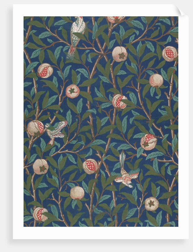 Bird and Pomegranate wallpaper by William Morris
