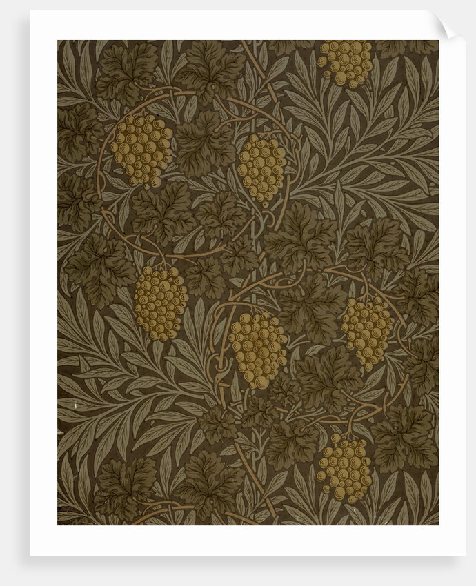 Vine wallpaper by William Morris