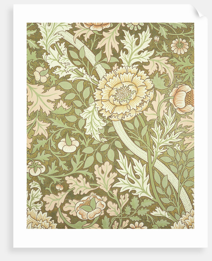 Norwich wallpaper by William Morris