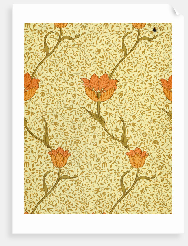 Garden Tulip wallpaper by William Morris
