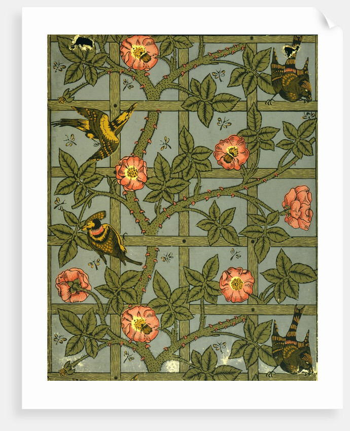 Trellis wallpaper by William Morris