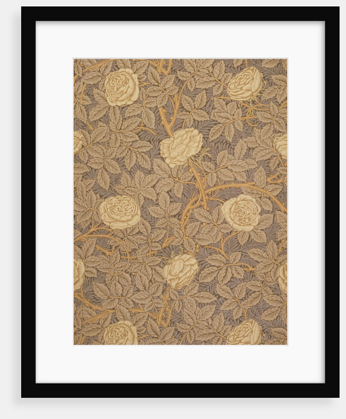 Rose wallpaper by William Morris