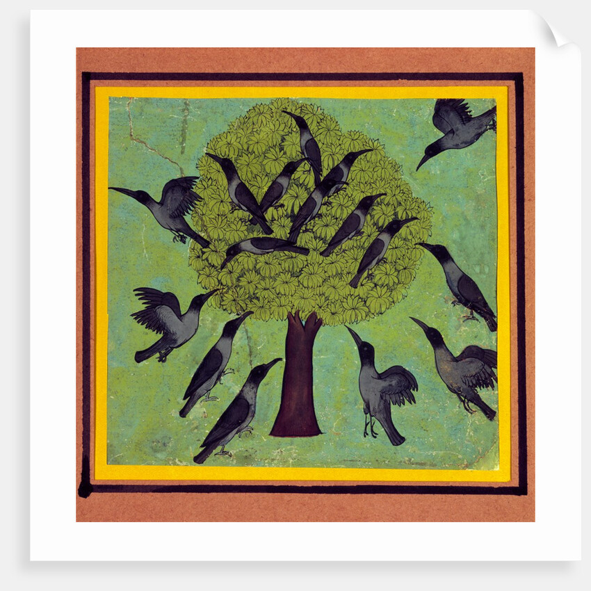 A Tree with Crows Perched in its Branches, with Others Flying Around It. Rajasthan, India, c.1850 by Unknown