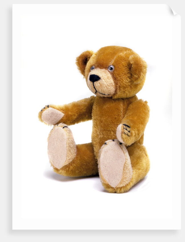 Teddy Bear by Unknown