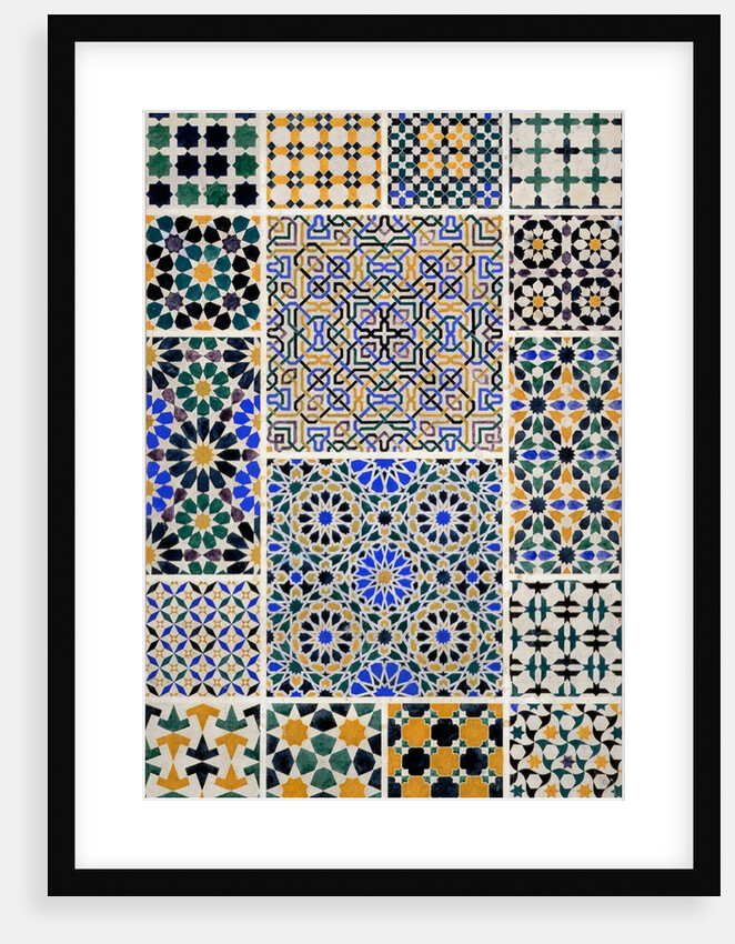 Plate from The Grammar of Ornament by Owen Jones
