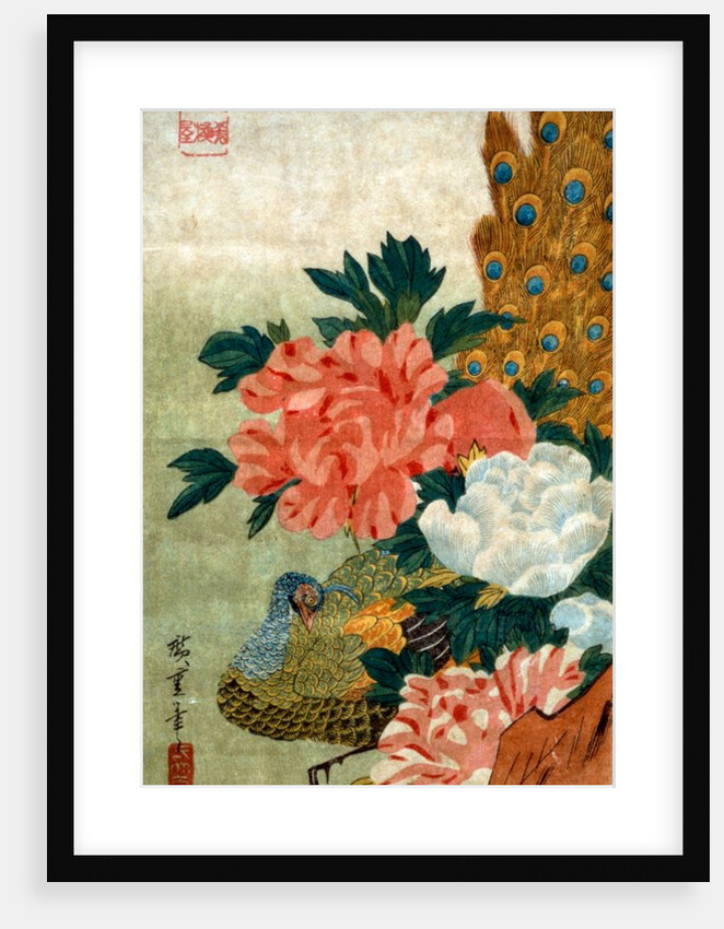 Peony and a Peacock by Utagawa Hiroshige I