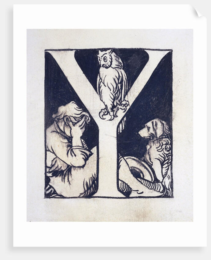 Y by Godfrey Sykes