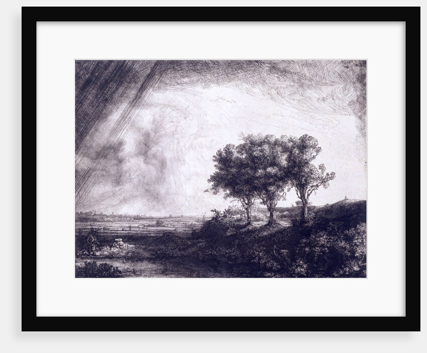 Three trees by Rembrandt van Rijn