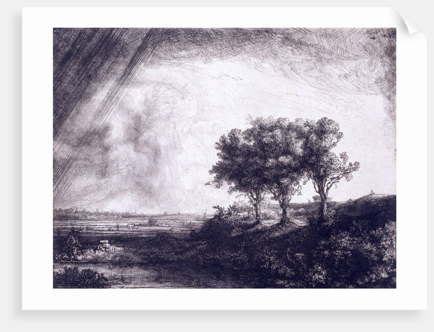 Three trees by Rembrandt van Rijn