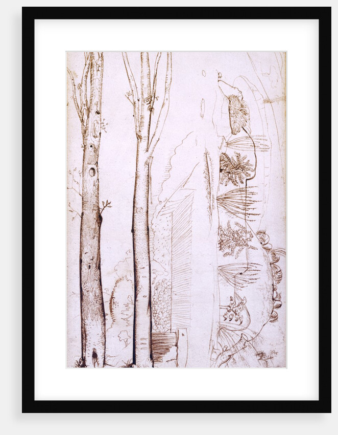 Sketches of trees and a hilly landscape by Samuel Palmer