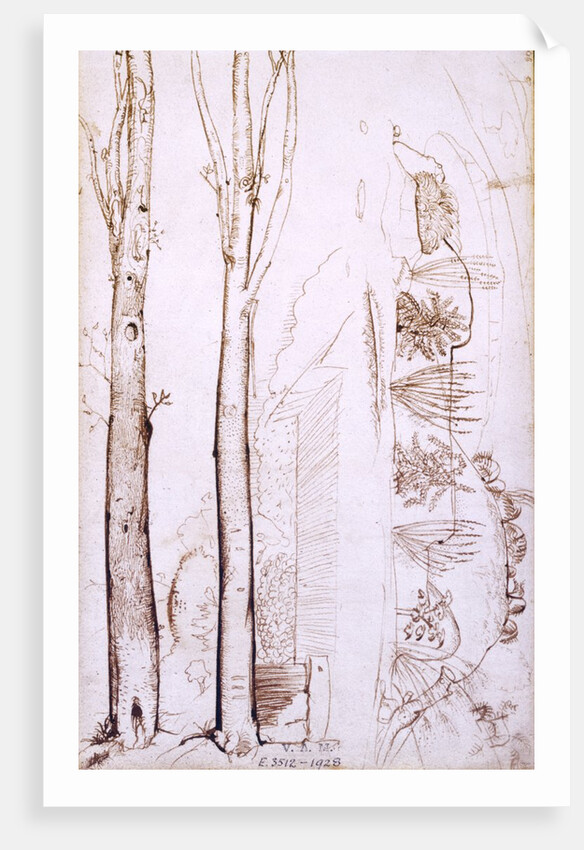 Sketches of trees and a hilly landscape by Samuel Palmer
