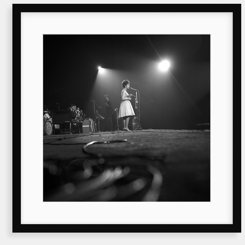 Helen Shapiro by Harry Hammond