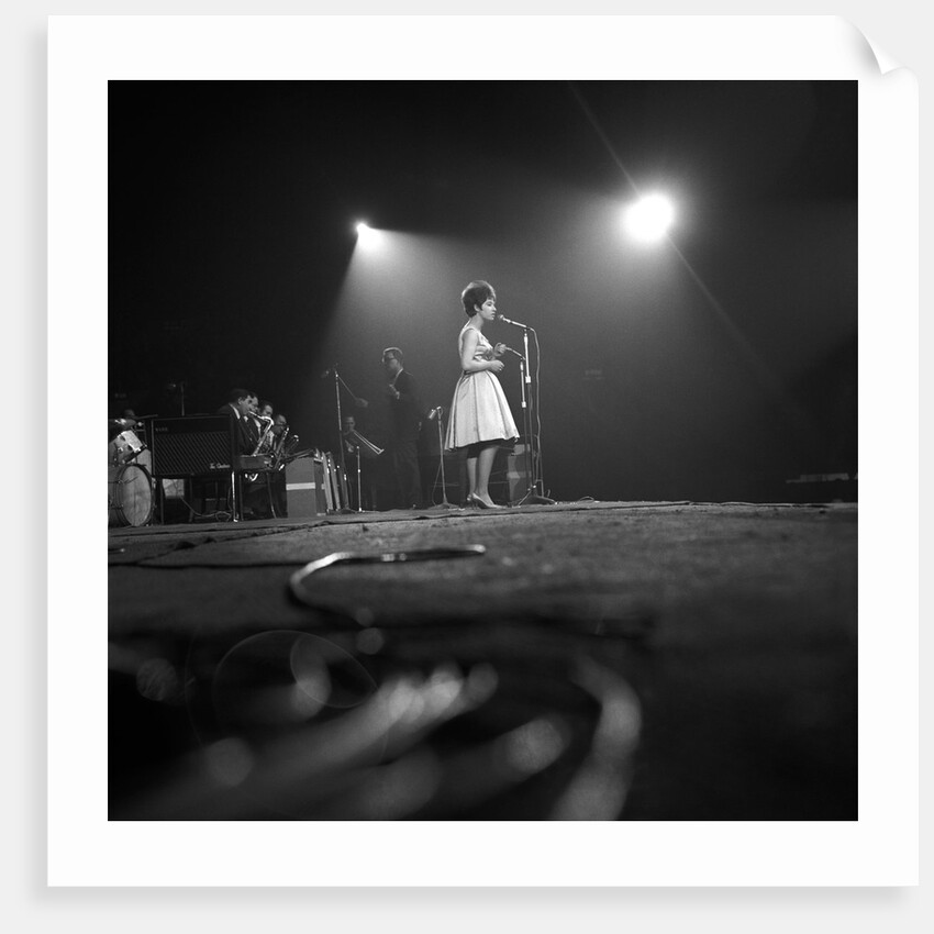 Helen Shapiro by Harry Hammond