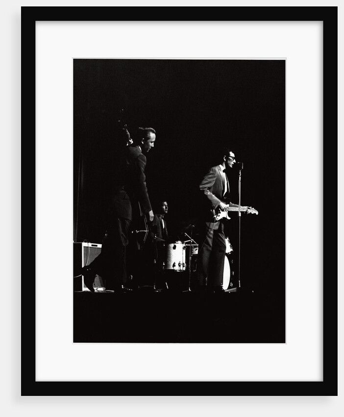 Buddy Holly by Harry Hammond