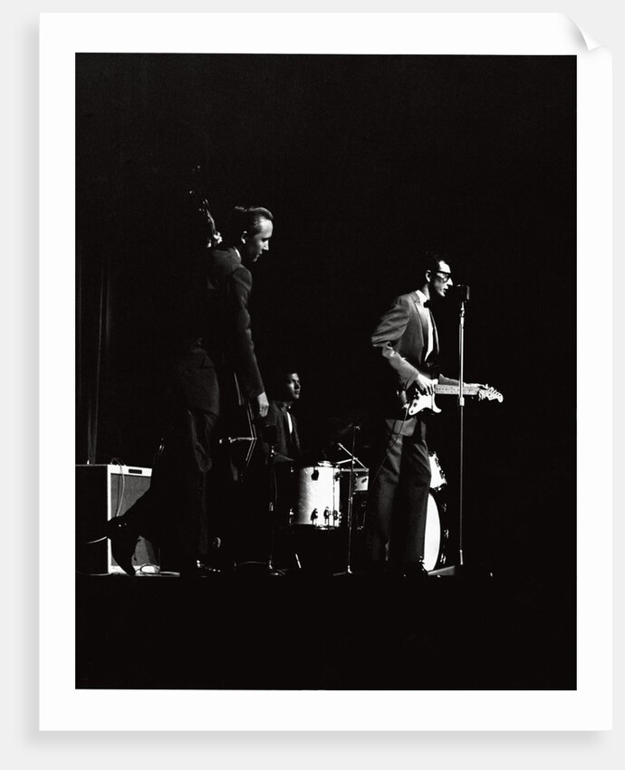 Buddy Holly by Harry Hammond