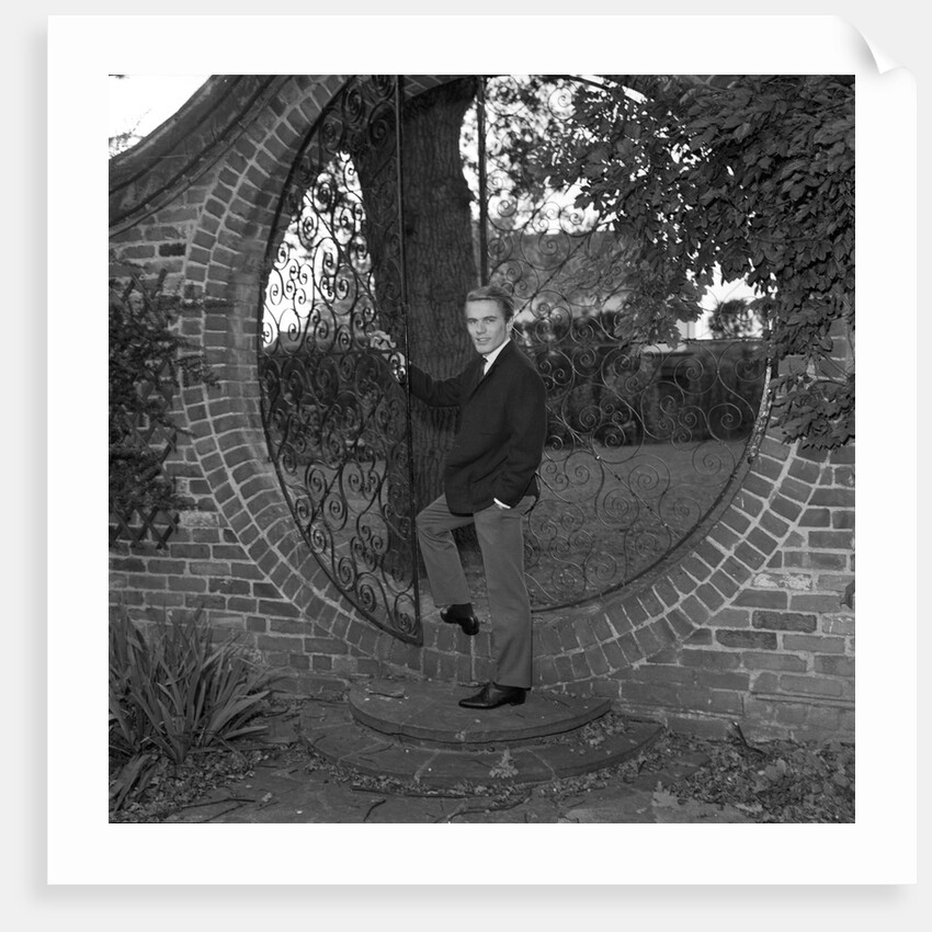 Adam Faith by Harry Hammond