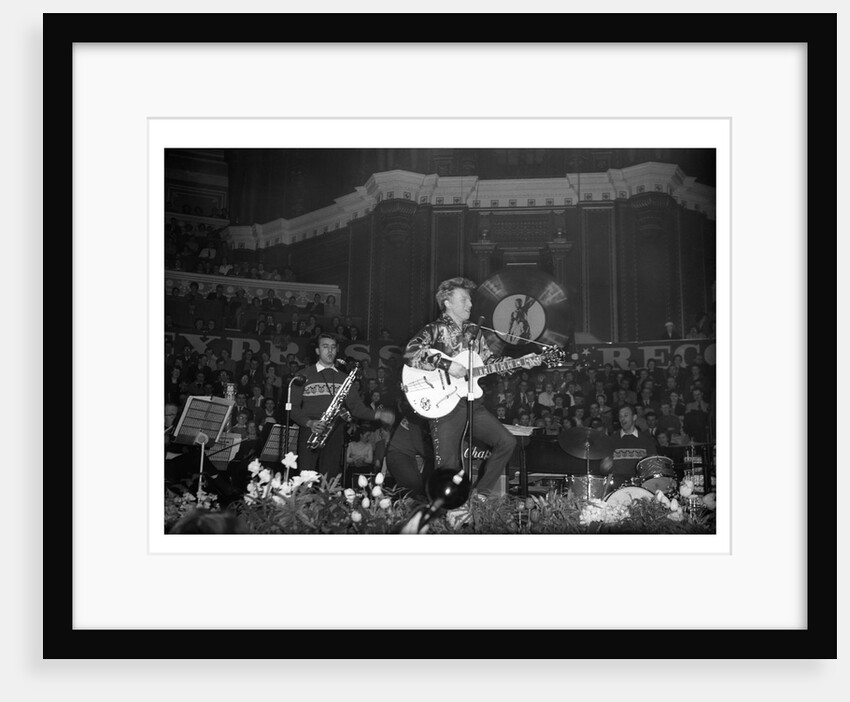 Tommy Steele by Harry Hammond
