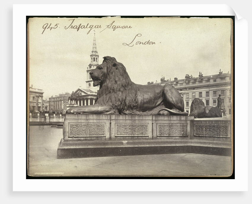 Stone Lion, Trafalgar Square, London by Francis Frith & Co.
