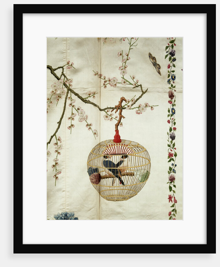 Bird Cage with Finches by Anonymous
