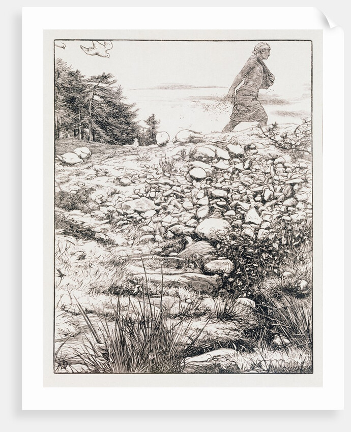 The parable of the sower by John Everett Millais