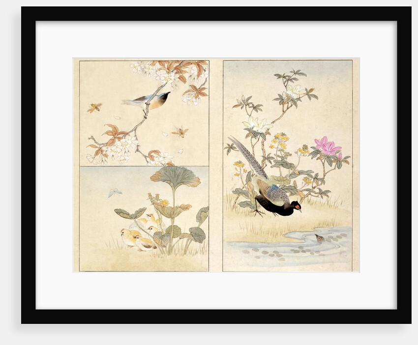Three prints of birds and flowers by Unknown