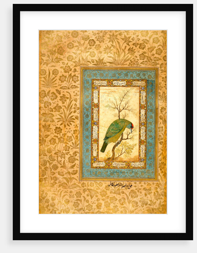 A Himalayan Blue-throated Barbet by Ustad Mansur