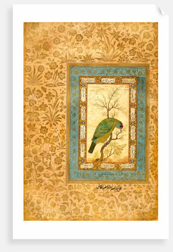 A Himalayan Blue-throated Barbet by Ustad Mansur