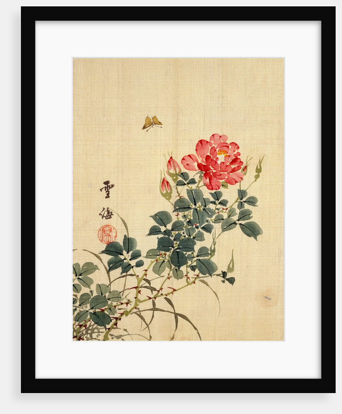 Wild Red Rose Buds, Butterfly and Foliage by Sekkisai