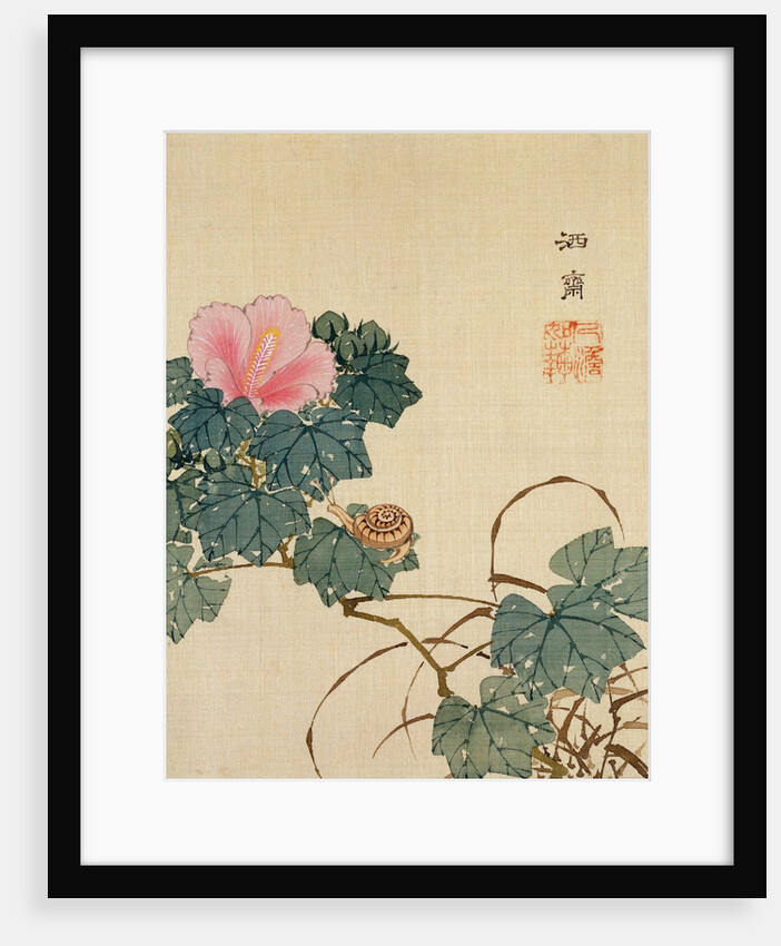 Snail, Pink Flower and Foliage by Shasai
